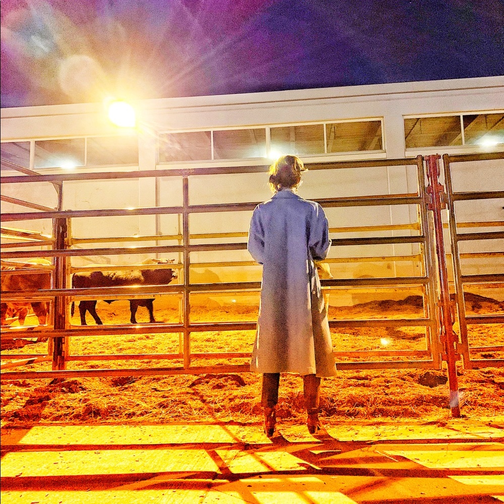 The Style Hustle -Top Level Posh Ambassador & Top 5% Posh Seller!